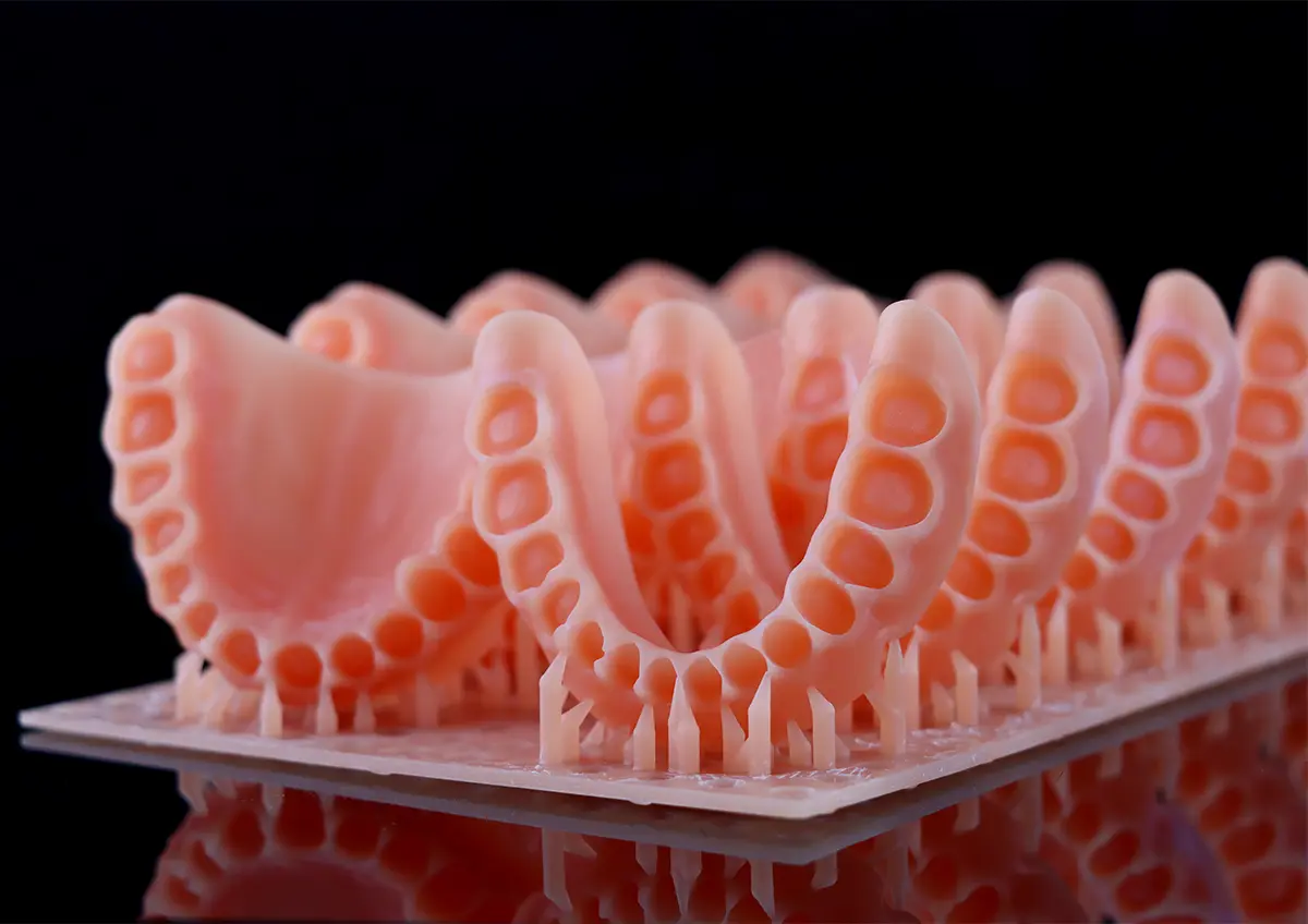 Denture Base