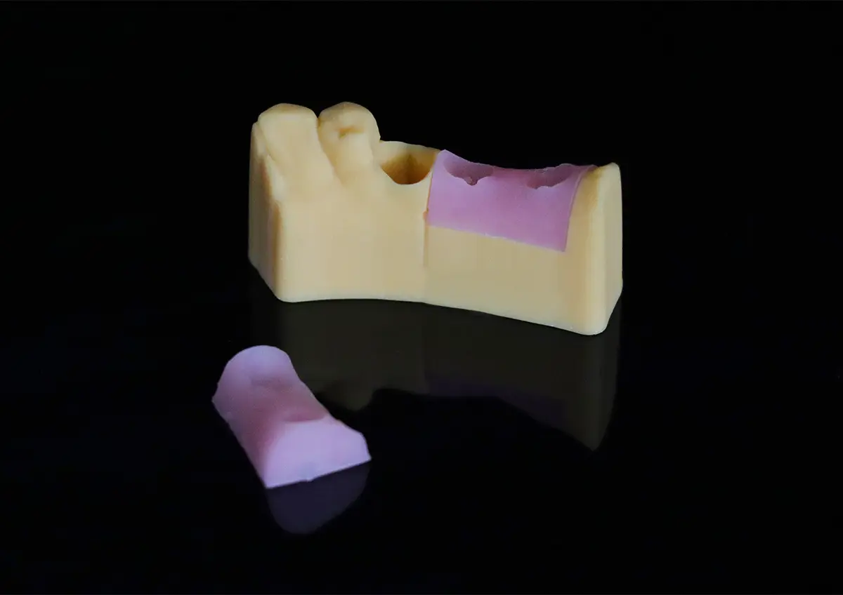 Flexible Gum Simulation For Dental Model-01