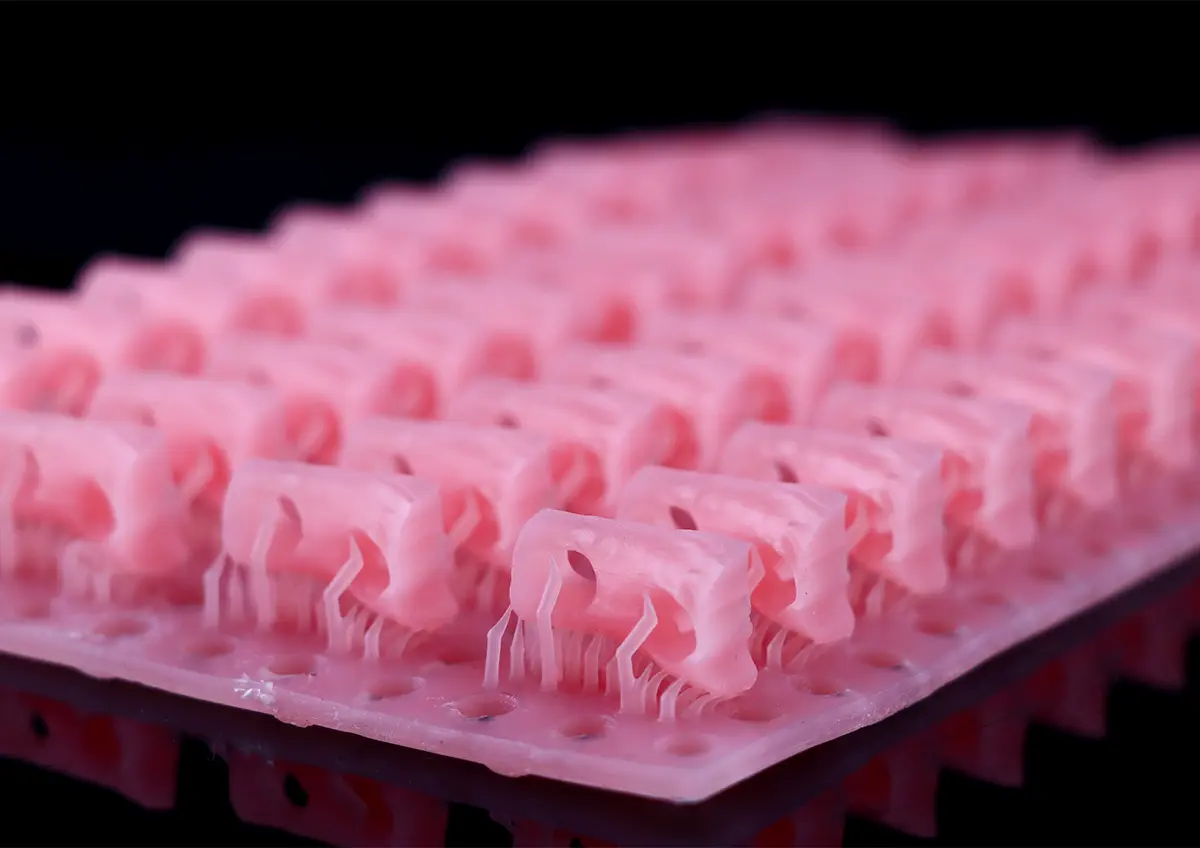 Flexible Gum Simulation For Dental Model-02