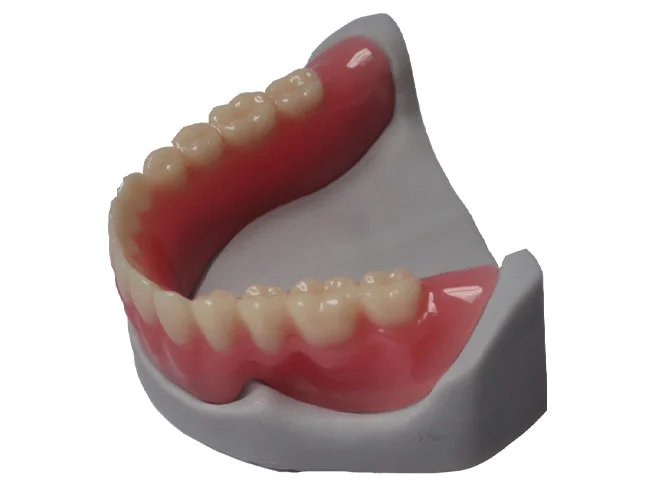 denture-base-resin-model-d-series