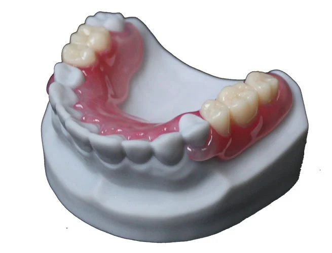 flexible-denture-base-resin-model-d-series-sample-display