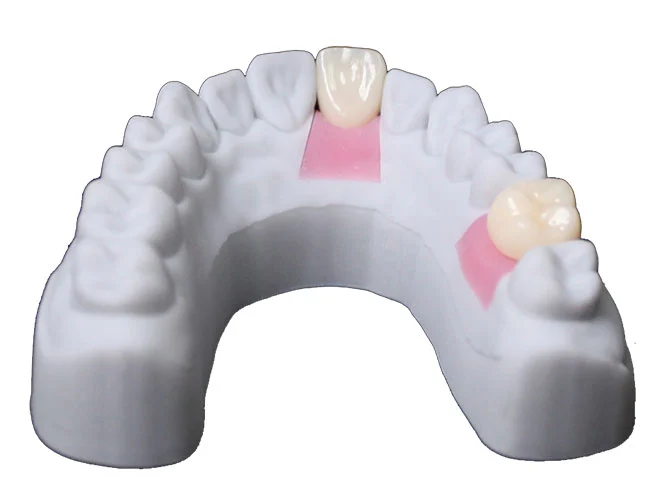 gingiva-mask-resin-model-g-series