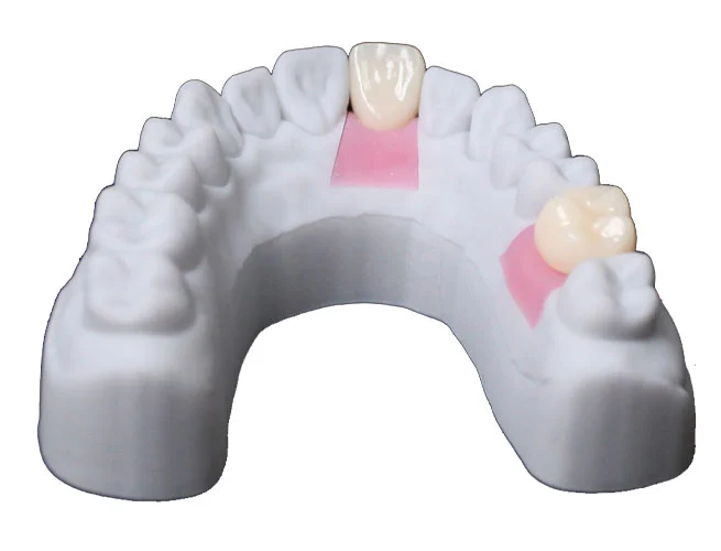 temporary-dental-resin-model-t-series