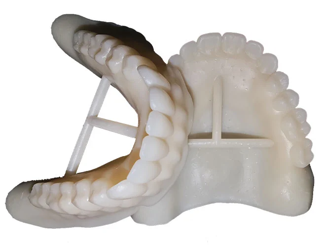 try-on-the-denture-resin-model-tn-series-sample-display