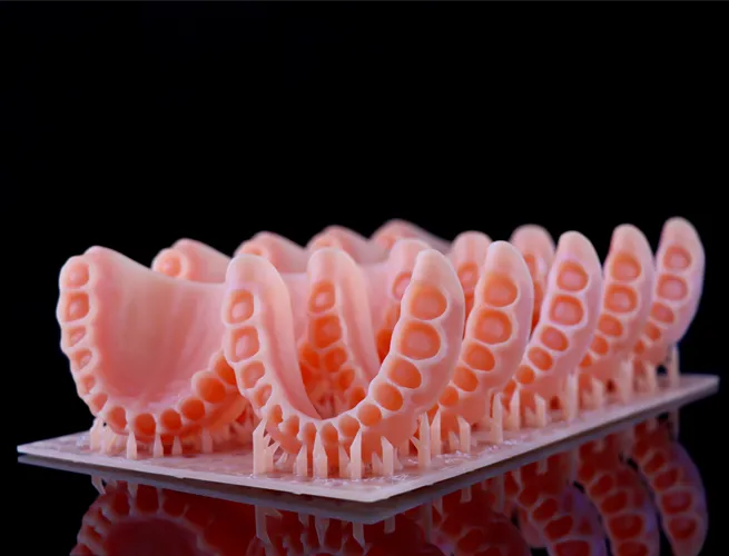 resin material denture base d1