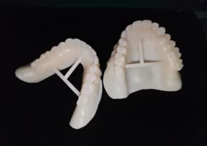 Dental Model