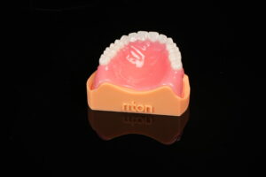 Denture Teeth